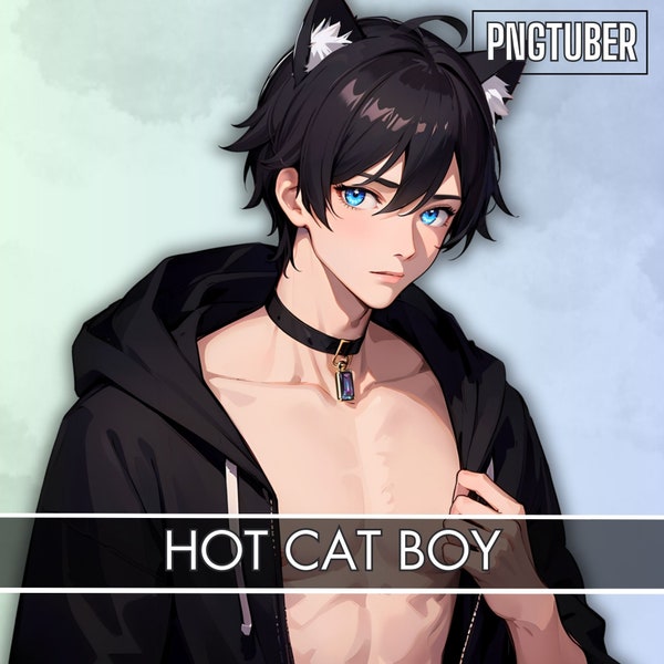 HOT CAT boy PNGTUBER| Chill Open Hoodie | Dark Hair male| Ready To Use|VTuber, Premade 2D Asset| Veadotube|4 Expressions|16 Png|Pet Pngtuber