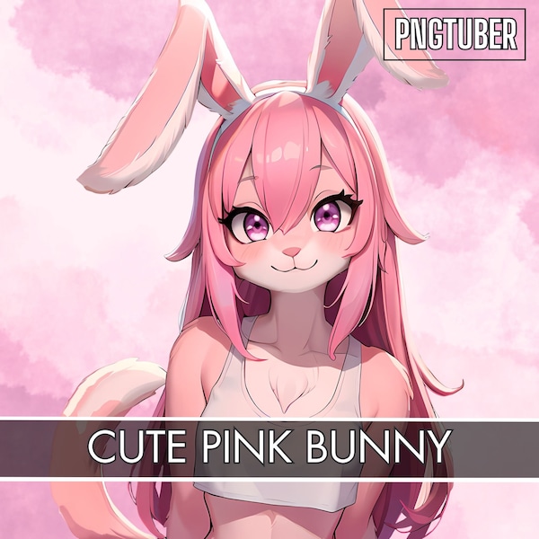 Bunny Girl 2d Vtuber - Etsy