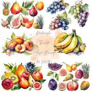 Watercolor Fruit Clipart Bundle,Fruit Clipart Png,Healthy Fruits Png,Healthcare Food,Fruit Clipart Set,Watercolor Fruit Png,Fruit Collection