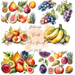 Watercolor Fruit Clipart Bundle,Fruit Clipart Png,Healthy Fruits Png,Healthcare Food,Fruit Clipart Set,Watercolor Fruit Png,Fruit Collection