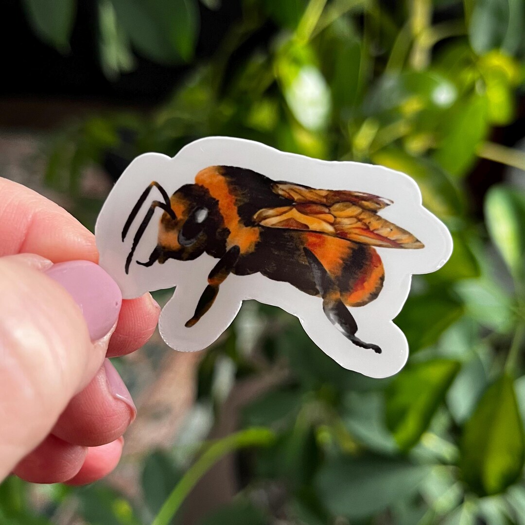 Bee Sticker | Die Cut Glossy Vinyl Waterproof Stickers - Etsy