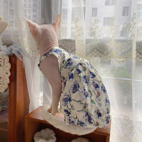 Sphynx kitten best sale clothes