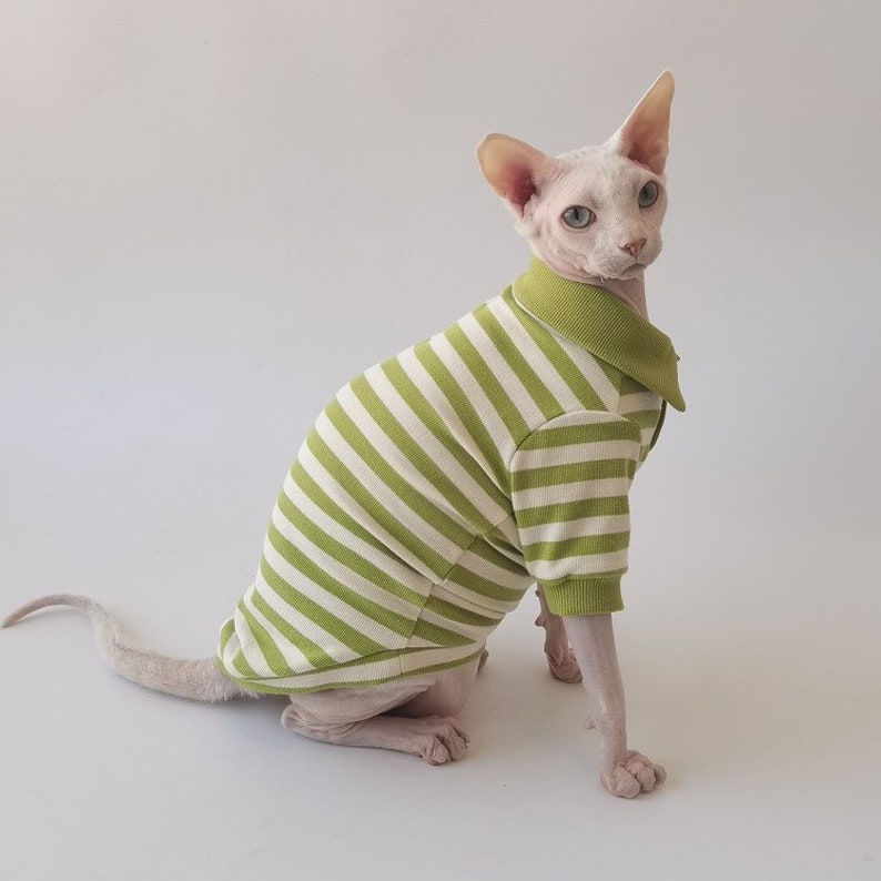 Sphynx Cat Clothes Polo Tee Sphynx Shirt Sphynx Clothes Etsy