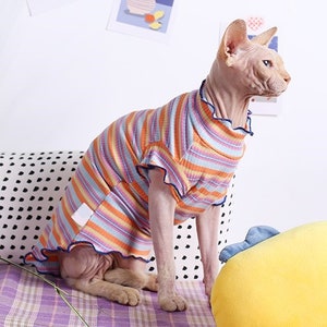 Personalized Sphynx Cat Clothes Ruffle Stripes Sphynx Cat Sweaters Hairless Cat Clothes Colorful Sphynx Kitten Clothes Sphinx Cat Gifts