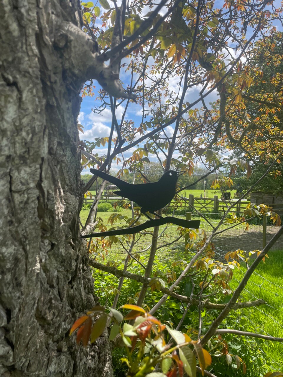 Black Bird Iron Bird Tree Spike//garden Etsy UK