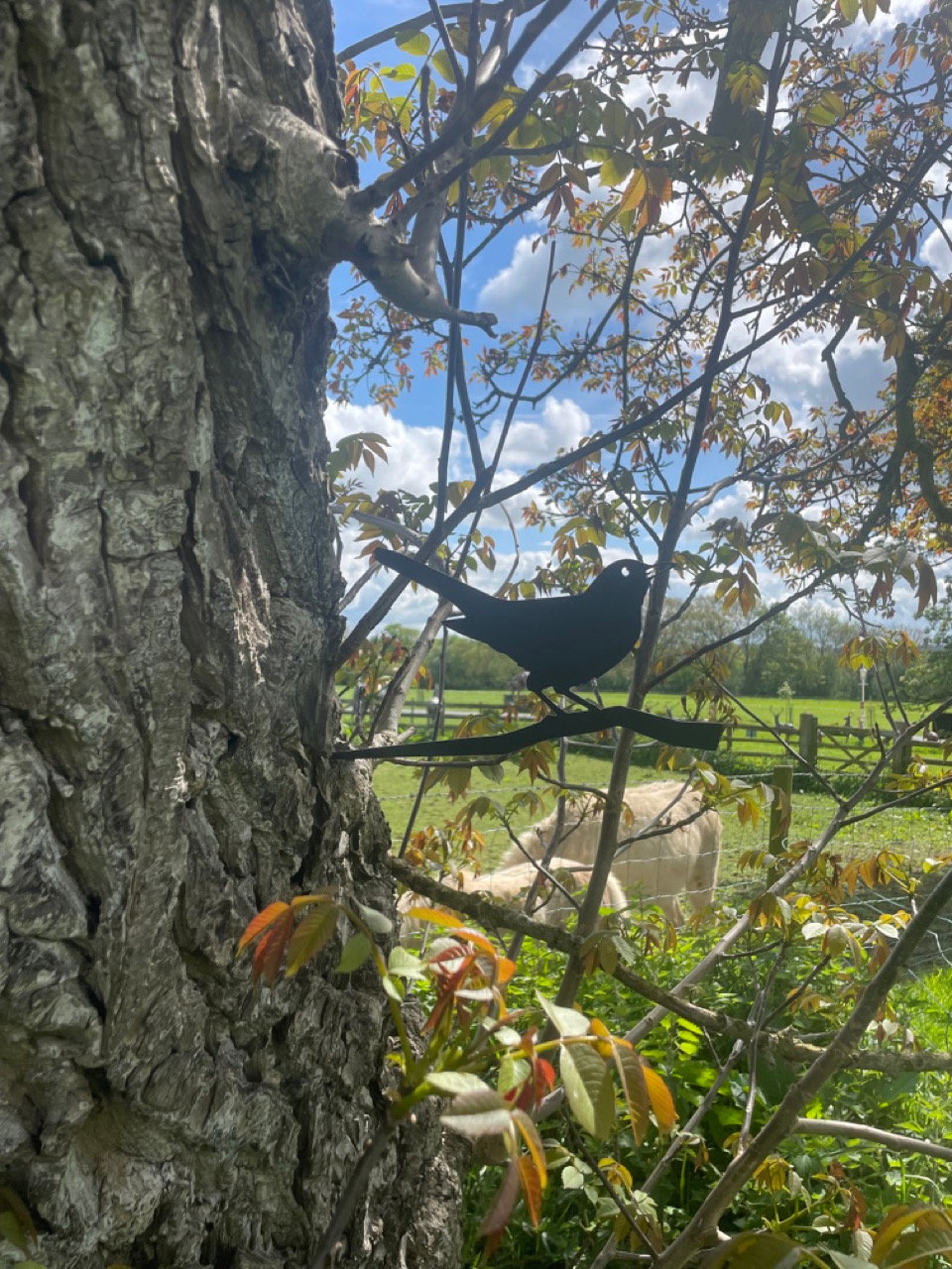 Black Bird Iron Bird Tree Spike//garden Etsy UK