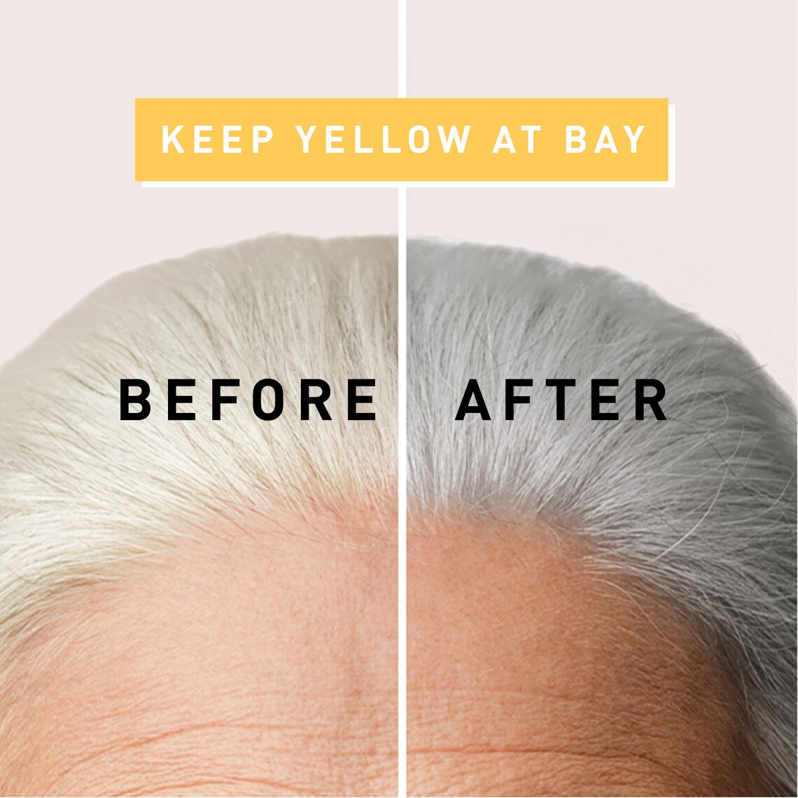 Gray Hair Conditionersilver Hair Conditioner, Yellow or Purple Hair