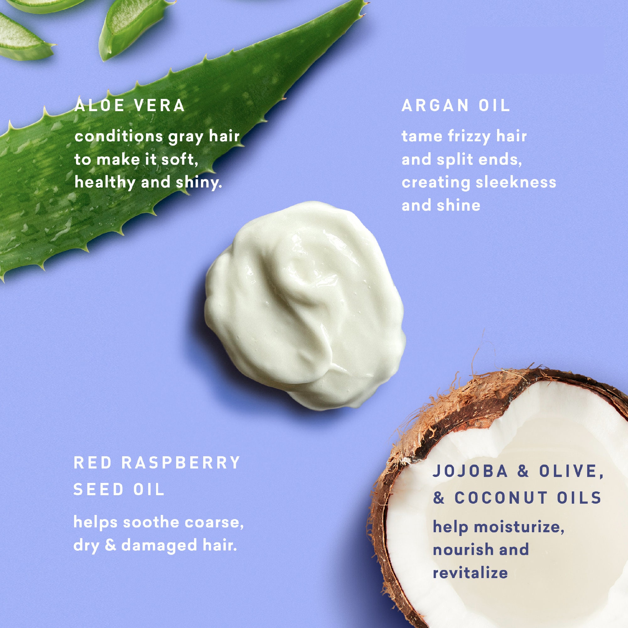 Natural Gray Hair Shampoo & Conditioner Set, Banish Yellow Tones