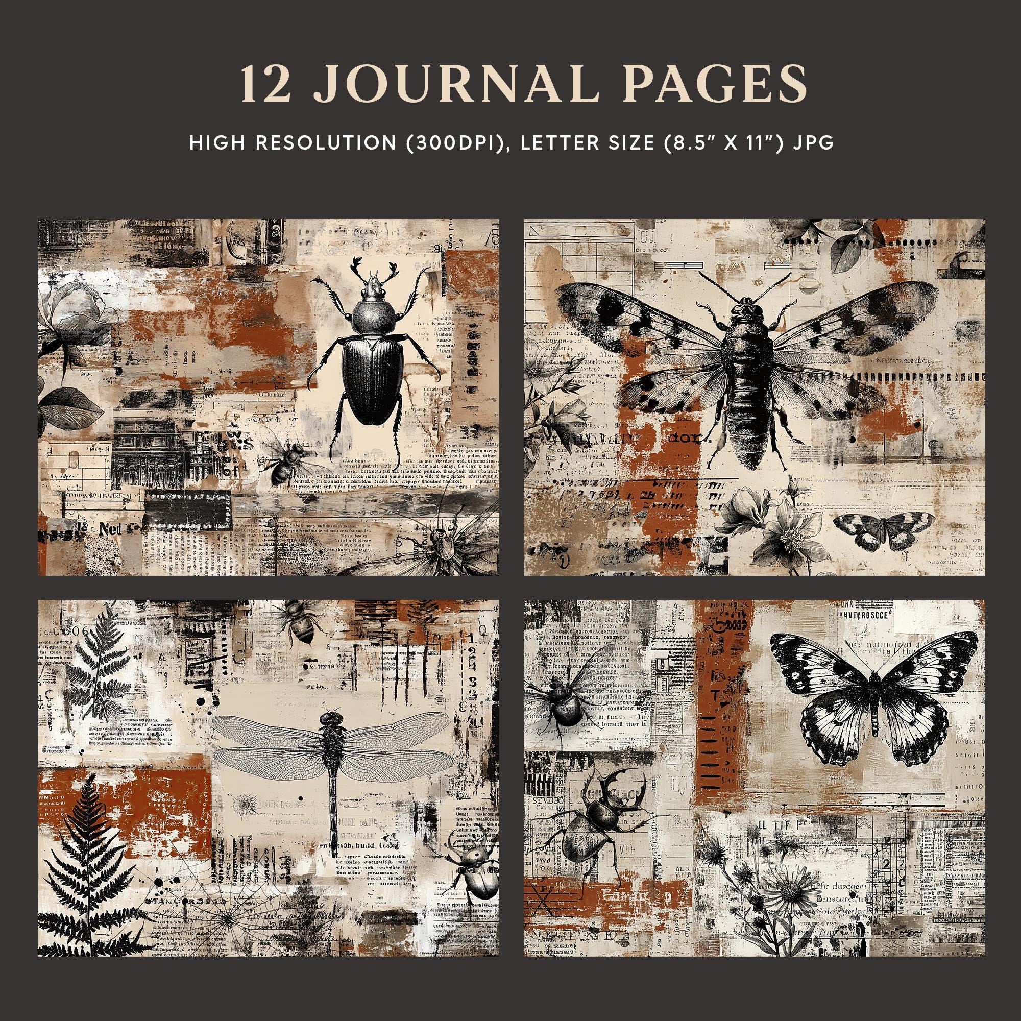 Entomology Junk Journal Pages, Vintage Insect Collage Backgrounds ...