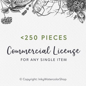 Licenza commerciale <250 copie singolo articolo