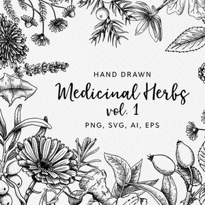 Medicinal herbs clip art  - botanical svg hand drawn vector illustrations / apothecary svg / dandelion svg / lavender svg / clover svg file