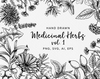 May include: Black and white hand-drawn illustrations of various medicinal herbs, including dandelion, calendula, and berries. The text "HAND DRAWN Medicinal Herbs vol. 1 PNG, SVG, AI, EPS" is at the center of the image.
