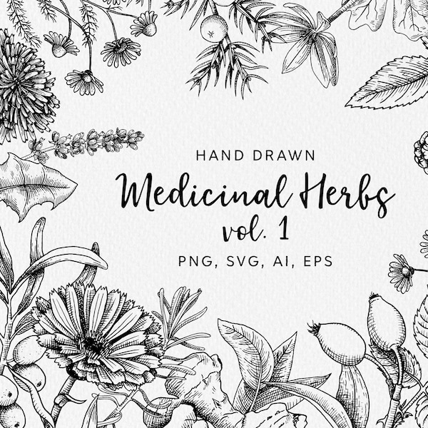 Medicinal herbs clip art  - botanical svg hand drawn vector illustrations / apothecary svg / dandelion svg / lavender svg / clover svg file