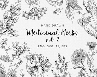 Medicinal Herbs Clipart: Hand Drawn Herbology Set Vintage Engraving Style. Apothecary SVG Plant Illustrations