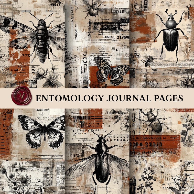 Entomology Junk Journal Pages, Vintage Insect Collage Backgrounds ...
