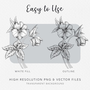 May include: Black and white line art illustration of a hellebore flower with leaves. The image shows two versions of the flower, one with a white fill and one with an outline. The text "Easy to Use" is at the top of the image. The text "White Fill" is below the filled-in flower and the text "Outline" is below the outlined flower. The text "HIGH RESOLUTION PNG & VECTOR FILES" is below the flowers and the text "TRANSPARENT BACKGROUND" is below that.