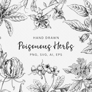 Arte de plantas venenosas - ilustraciones vectoriales / boticario svg / arte de plantas venenosas / plantas de herbología png / hierbas svg / lupino svg
