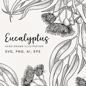 Eucalyptus svg - illustrations vectorielles dessinées à la main - png, svg, ai, eps. Compatible avec Canva / eucalyptus png / art mural imprimable eucalyptus
