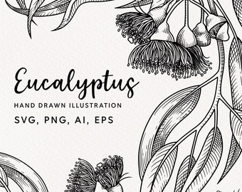Hand Drawn Eucalyptus Illustration: Vector Art, Printable Wall Art (Digital Download)
