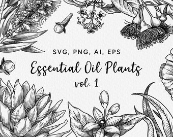 Essential Oil Plants: Wellness SVG Clipart. Hand Drawn Vector Botanical Illustrations Vintage Engraving Style