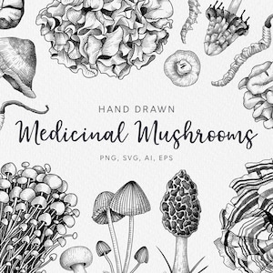 Hand Drawn Medicinal Mushrooms: Botanical Apothecary SVG Illustrations Vintage Engraving Style. SVG Files