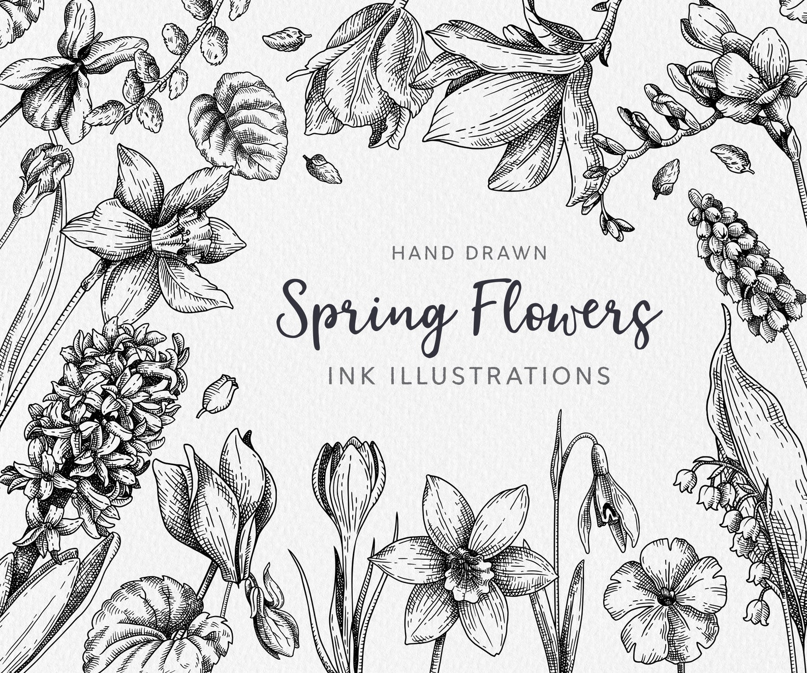 Hand Drawn Spring Flowers Clipart: Vector Floral Illustrations (digital ...