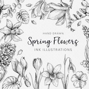 Clipart fleurs de printemps : vecteur de fleurs de printemps / magnolia, jacinthe, cyclamen, freesia / cartes florales élégantes / motif fleurs de printemps