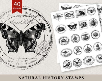 Naturgeschichte Stempel Printables + Vintage Papiere, Botanische Junk Journal Ephemera, Stempel zum ausdrucken, Natur Collage Elemente