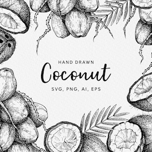 Coco - ilustraciones vectoriales dibujadas a mano - png, svg, ai, eps. Compatible con Canva / coco svg / arte de coco / svg botánico