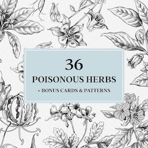 Poisonous Plants Clipart Bundle SVG: Hand Drawn Apothecary Herb Illustrations in Vintage Engraving Style image 1