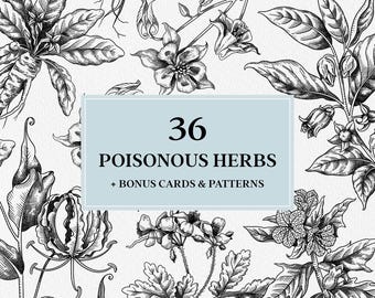 Poisonous Plants Clipart Bundle SVG: Hand Drawn Apothecary Herb Illustrations in Vintage Engraving Style