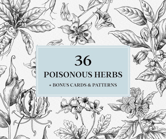 Poisonous Plants Clipart Bundle SVG: Hand Drawn Apothecary Herb Illustrations in Vintage Engraving Style