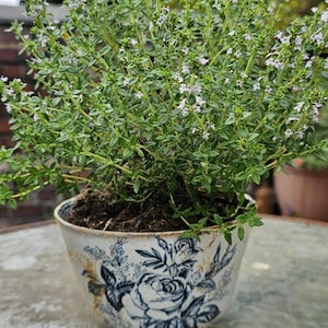Decorative Victorian Bowl.