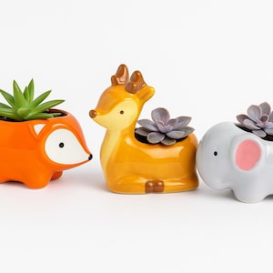 May include: Three ceramic animal planters: an orange fox, a yellow deer, and a grey elephant. Each planter holds a succulent plant. The fox has a white face, the elephant has pink ears, and the deer has brown antlers.