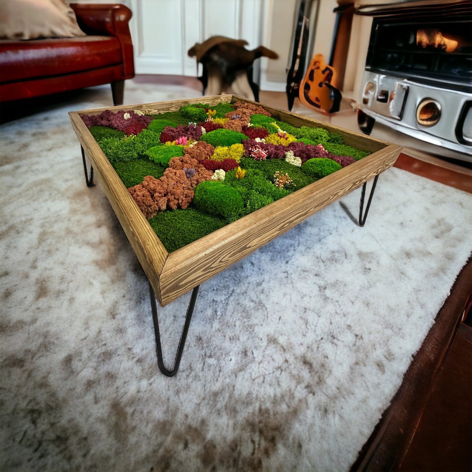 Coffee Table Terrarium 