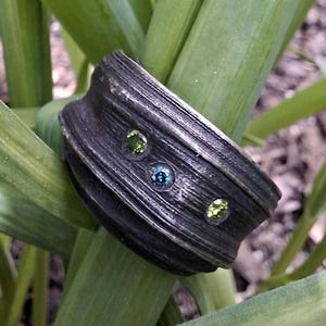 May include: A dark, textured ring with three small, colourful gemstones. The ring is set against a backdrop of green leaves. The gemstones are a mix of green and blue hues, adding a touch of colour to the design.