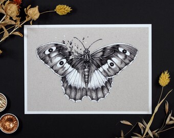 Fine Art Print – Insekten Illustration – Kunstdruck Giclée – Schmetterling Zeichnung – Din A5