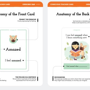 Feelings Flashcards for ages 3, Montessori Emotions Flashcards, Toddler Flash Cards, Montessori Materials Single Deck image 8