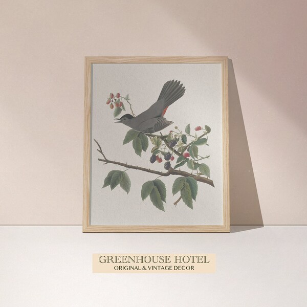 Catbird Painting Etsy