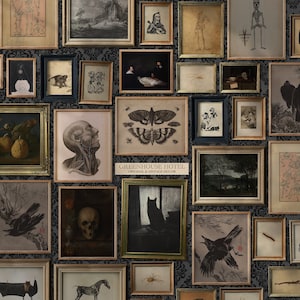 May include: A wall gallery featuring a variety of framed artwork, including a skull, a butterfly, a crow, a cat, and a skeleton. The frames are all different sizes and shapes, and they are arranged in a random pattern. The wall is covered in a dark, patterned wallpaper.