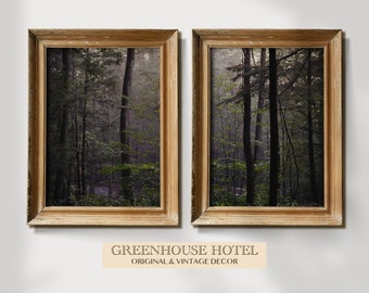 Forest Photography Print Set: Rustic Nature Wall Art (Digital Download)