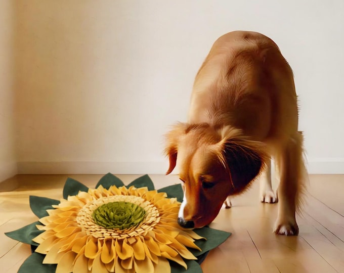 Snuffle Mat (Brain Game) for Dog, Pet Pillow, Dog Love Gift and Cats Puzzle Feeder Mat Gifts for Pets,Pet Floor seat cushion