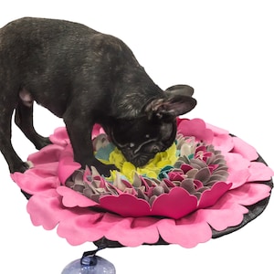 Dog Snuffle Mat: Interactive Puzzle Feeder, Brain Game for Pets