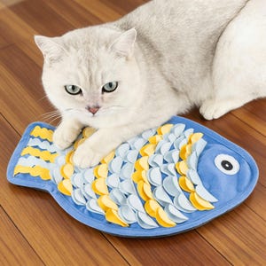 Könnte beinhalten: Eine silberne Katze liegt auf einer blau, gelb und weiß gefärbten Fisch-Haustiermatte. Die Matte hat eine filzartige Textur und ein großes Augendetail. Das Fell der Katze ist hellgrau, und der Hintergrund ist ein Holzboden.