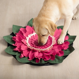 Könnte beinhalten: Ein Hundebett in Form einer Blume mit einem leuchtend rosa Zentrum und grünen Blättern. Das Bett hat einen schwarzen Rand. Ein heller Hund beschnuppert das Zentrum.