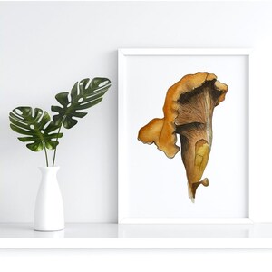 Chanterelle Mushroom Botanical Watercolor Art Print