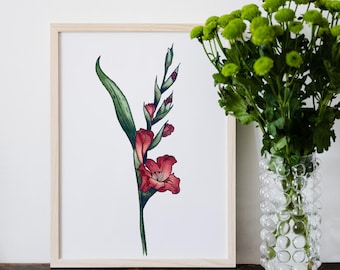Gladiolus Botanical Watercolor Art Print - August Birth Month
