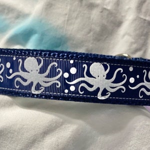 OCTOPUS , tiny heads big brain, dog,pet,collars