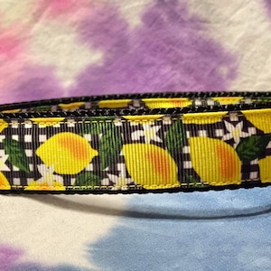 LEMONS on black buffalo pattern, dog,pet,collar,citrus