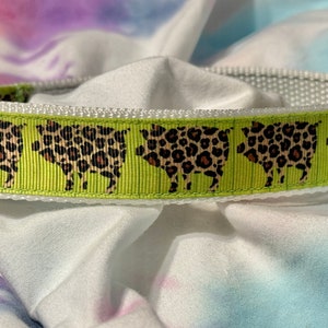 PIGS for the pets,dog,collar,leopard print,